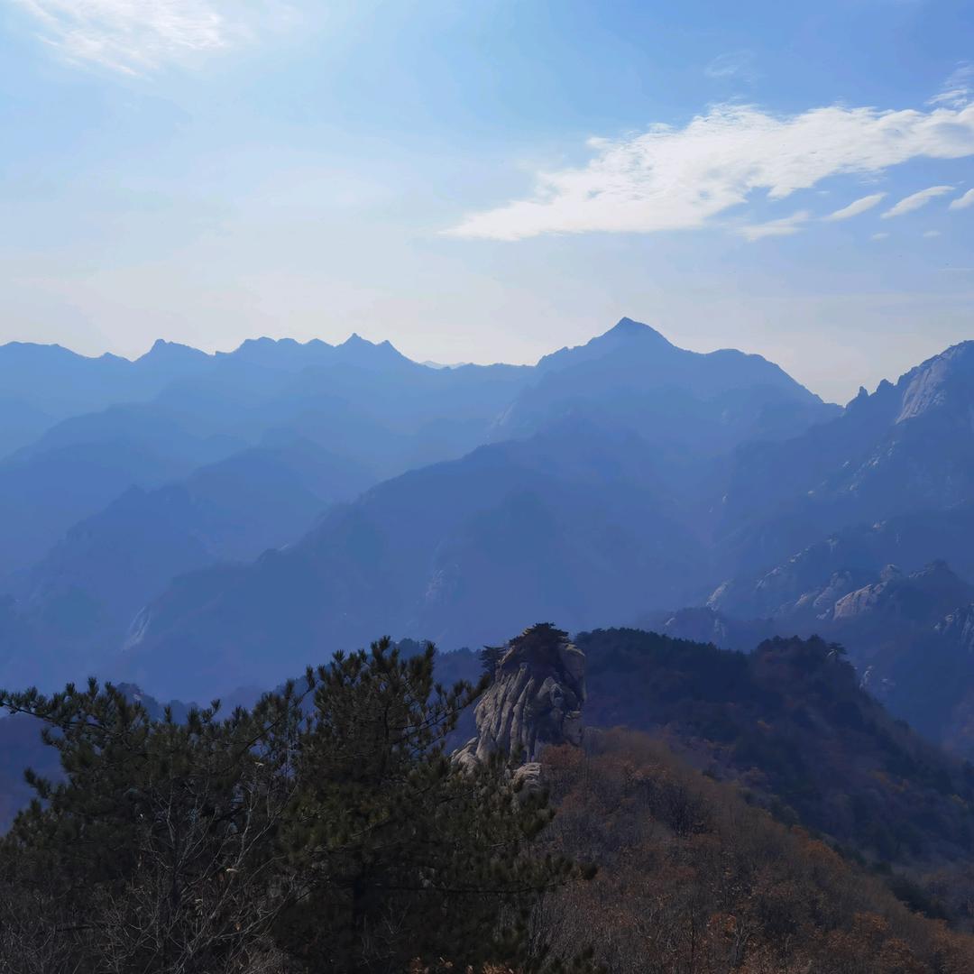 山海金