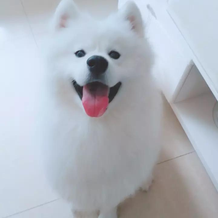 白开水