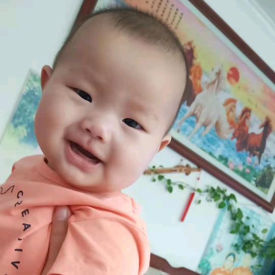 努力学习