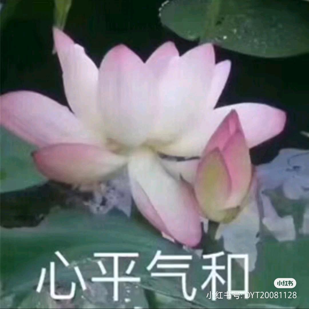 明天会更好《飞虎队》