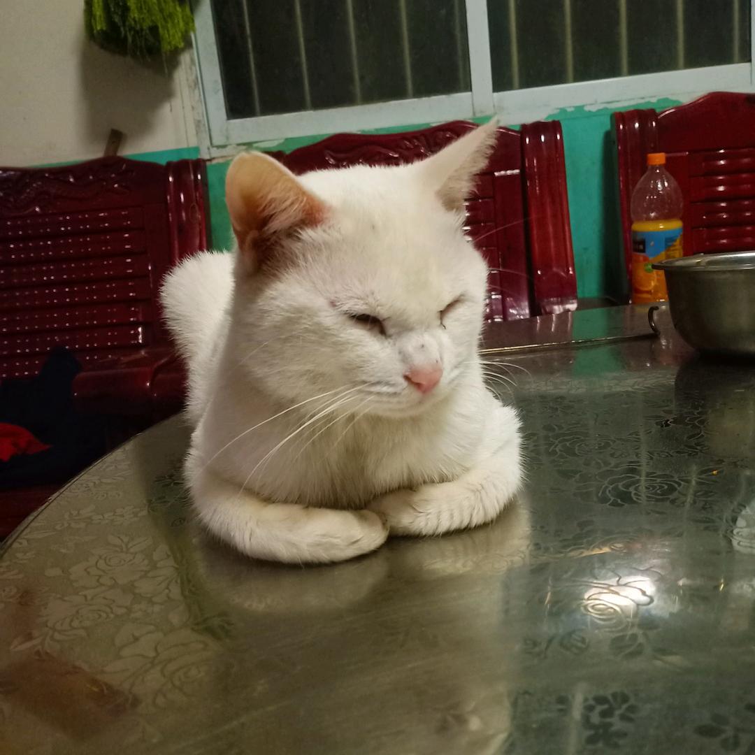 淘金小镇_