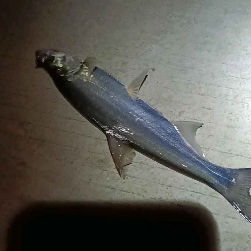 ໑ຼₒ₂₄ღ杨入᭄罗訫꧔ꦿ💘ོ࿐ᩚ