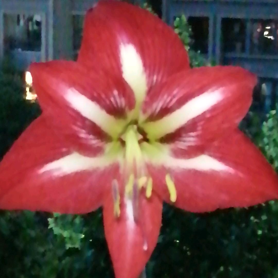 往后余生，我只要你