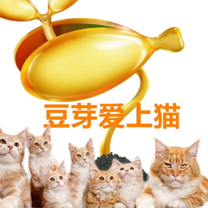 豆芽爱上猫宠物旗舰店