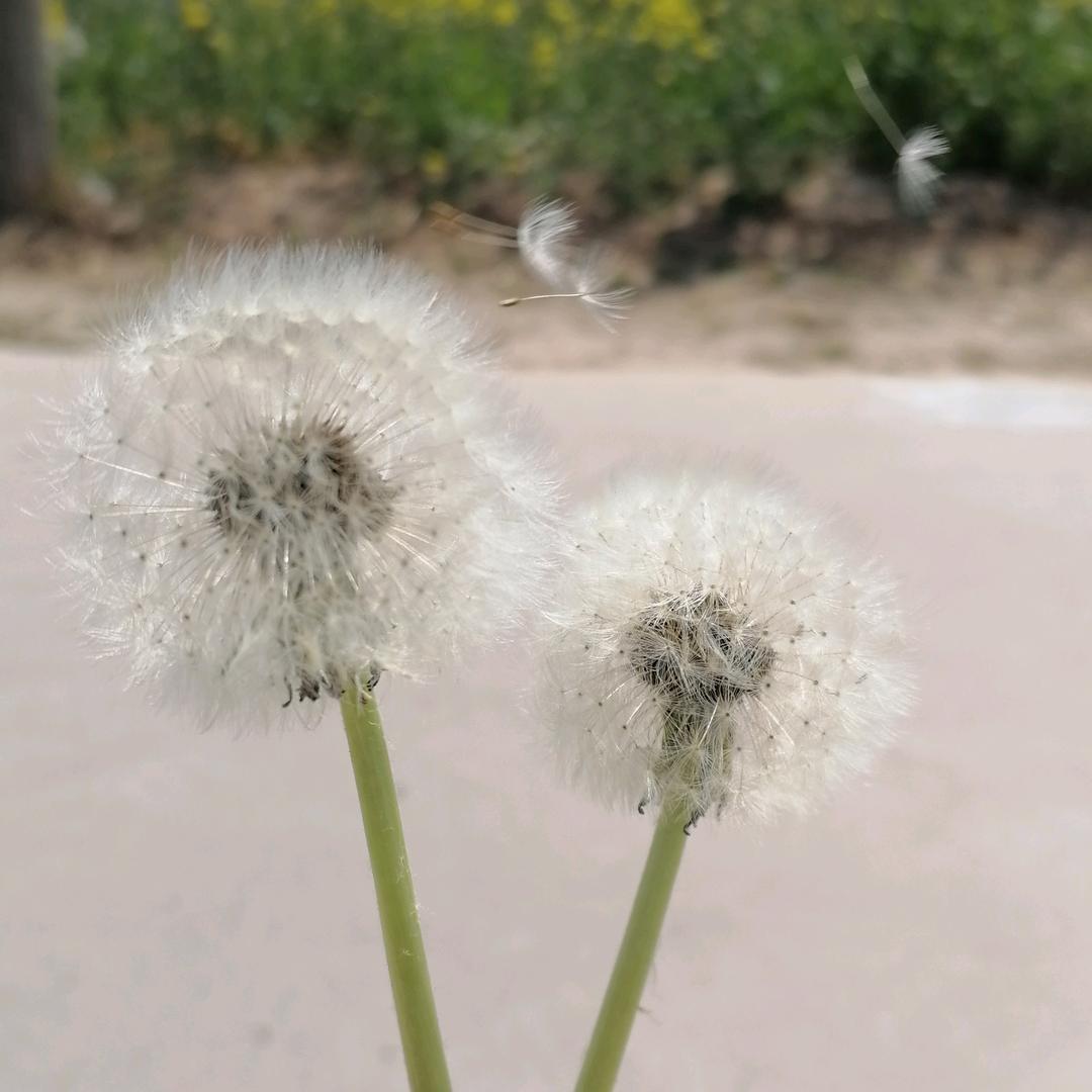 你好呀