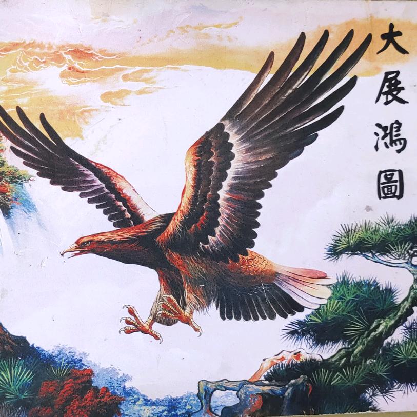 快乐家族
