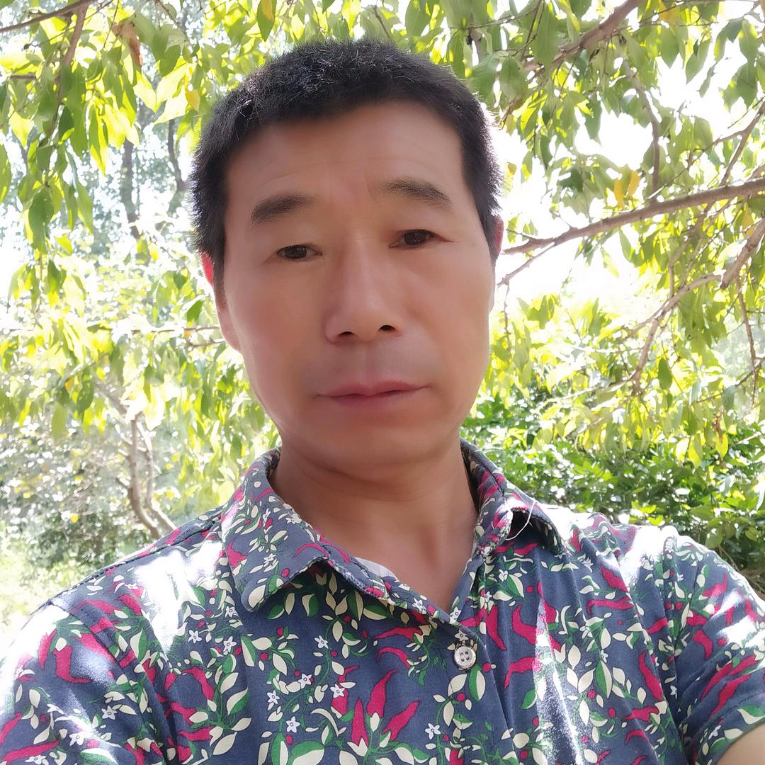 月季红