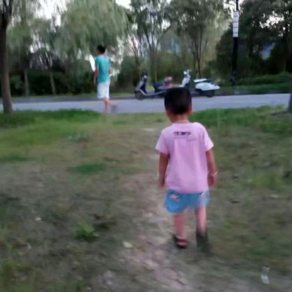 走来走去的鱼