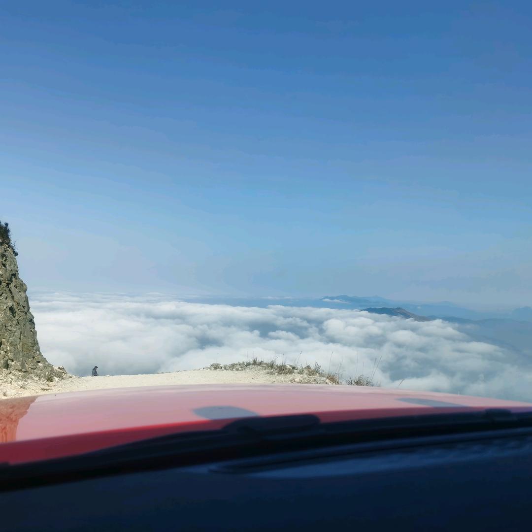 甘于奉献 勇于担当