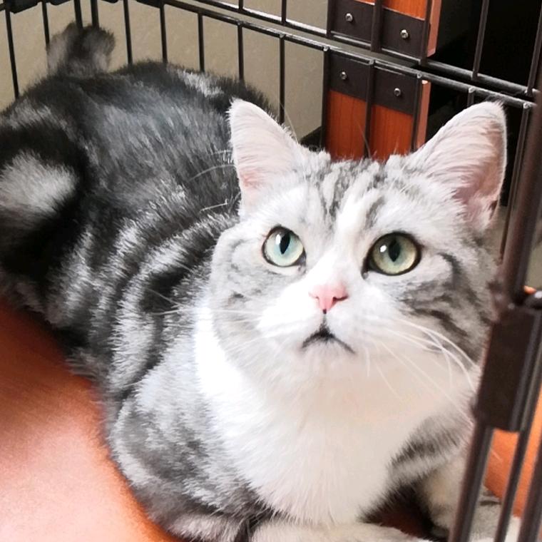 向往(好物分享)