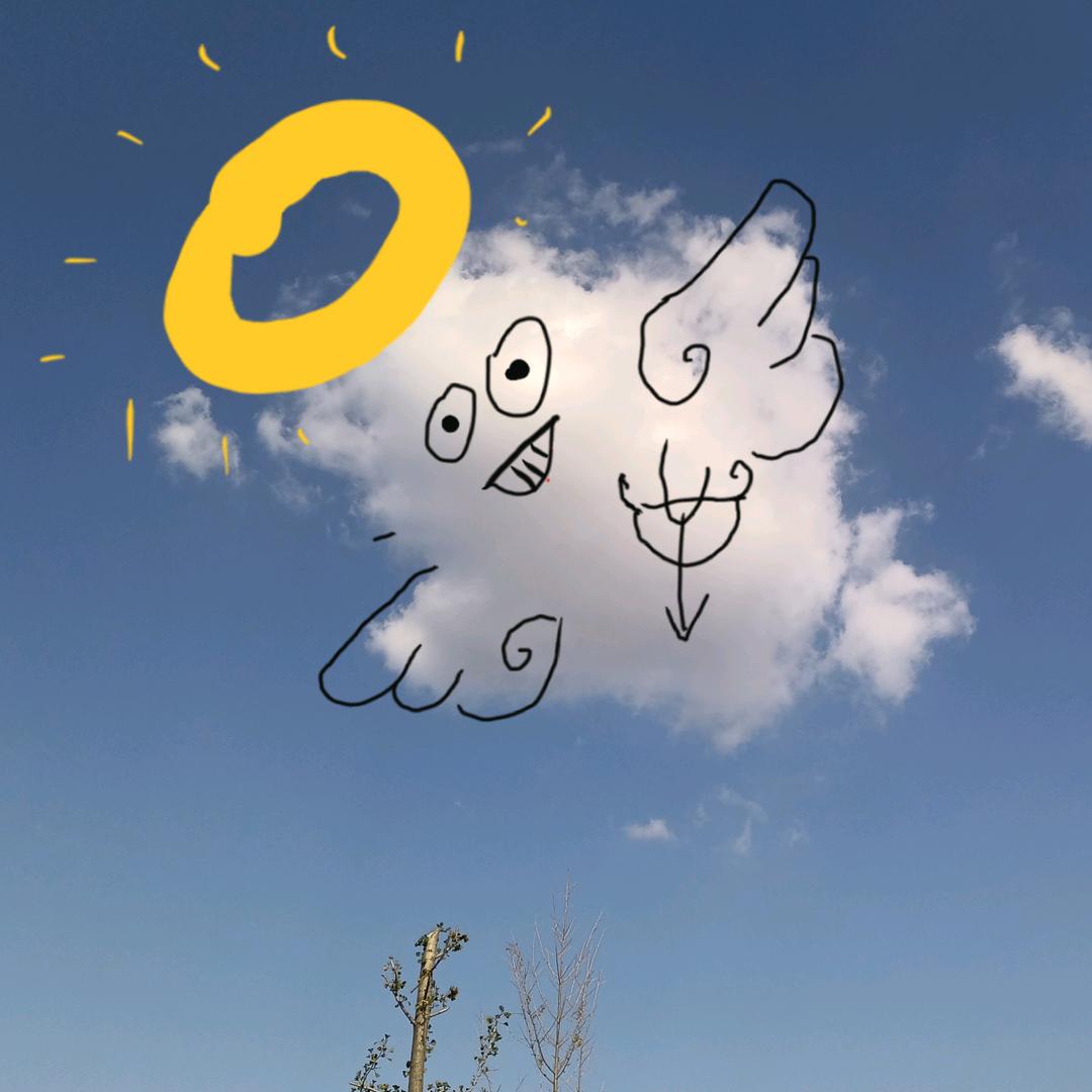 大连丘比特