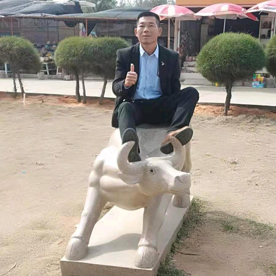 虎