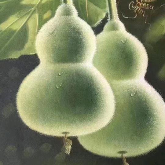 鸿运当头,安定堂,🔥🔥🔥🔥?