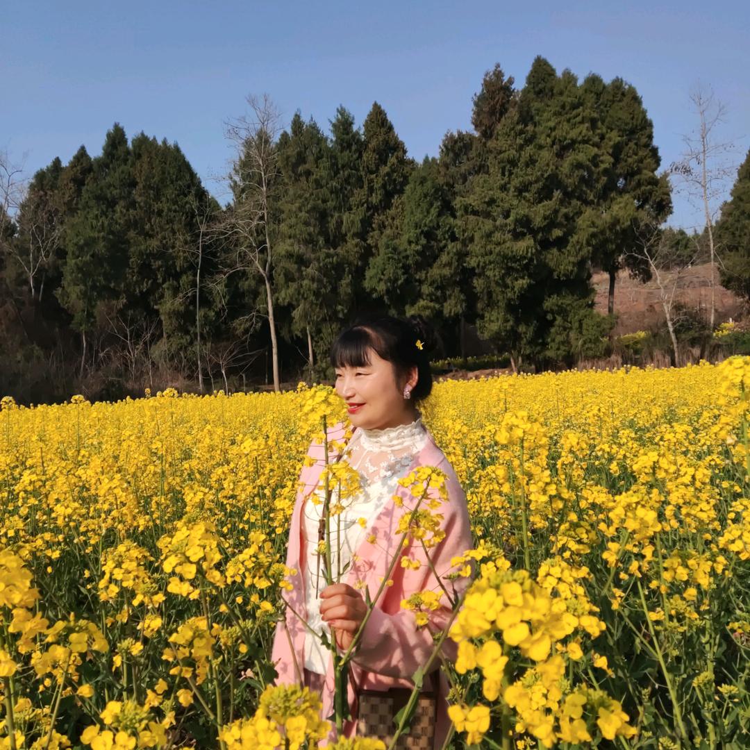 冬天的雪（静雪）