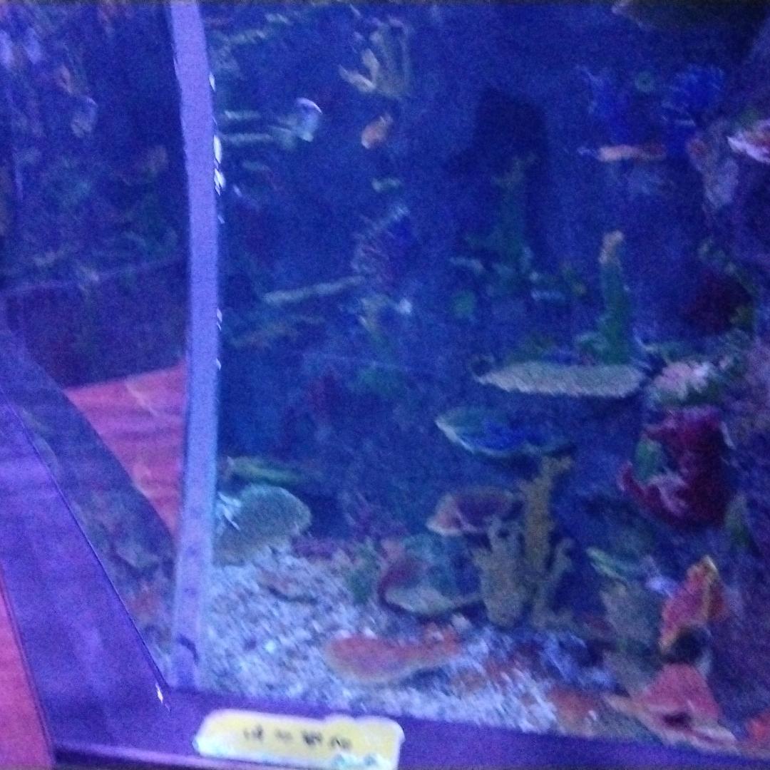 田喜军