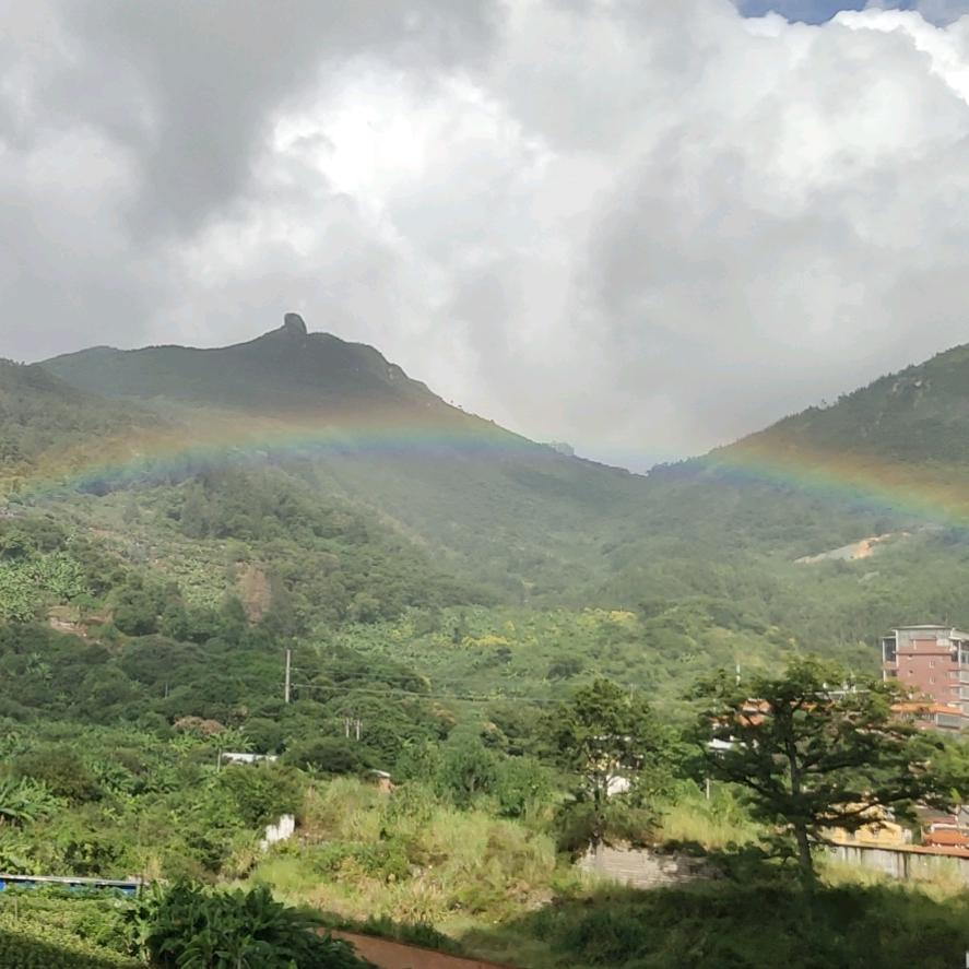 沐阳鲜花花艺