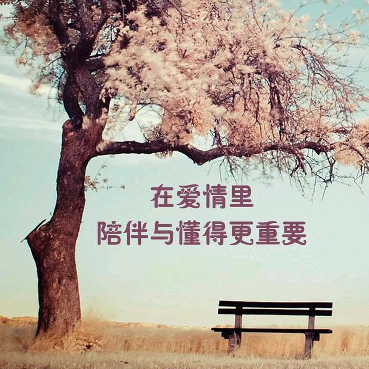 羊小羊