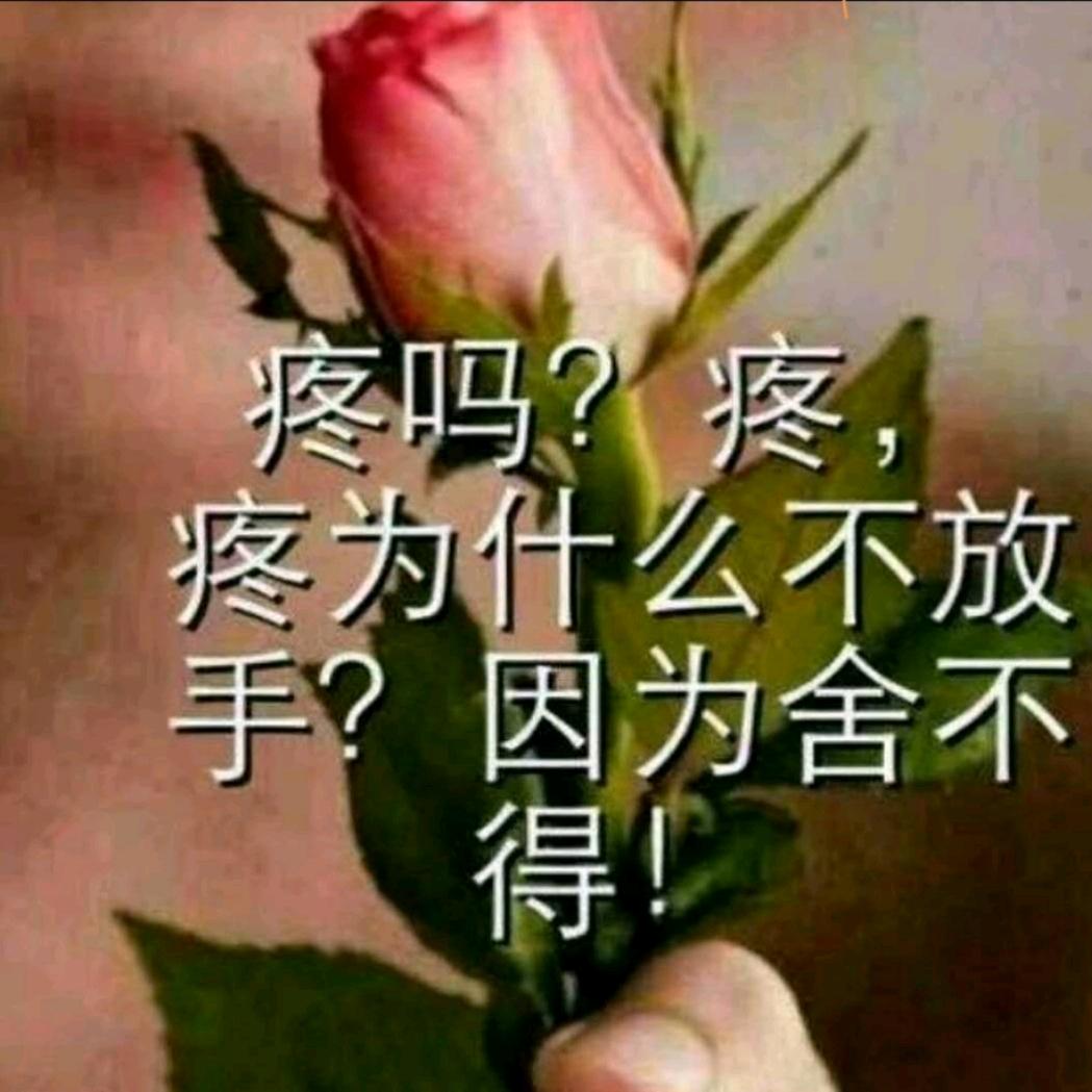 长情的情感