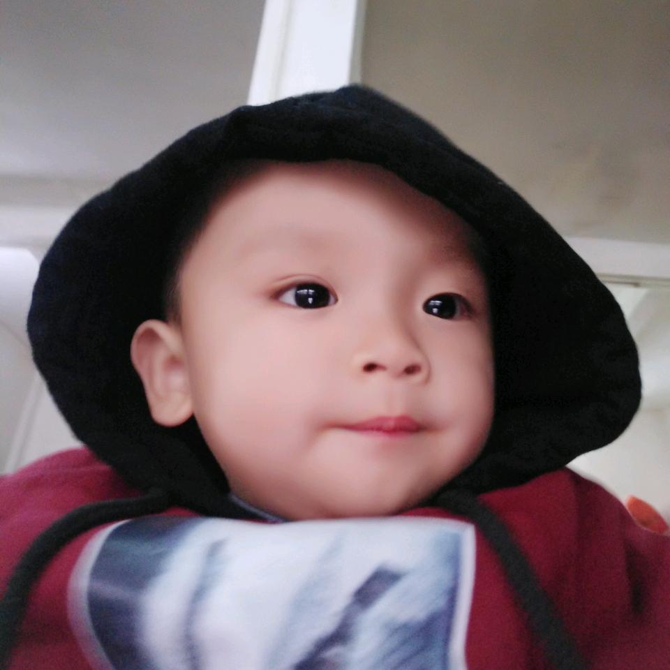 OK叉车出租起重