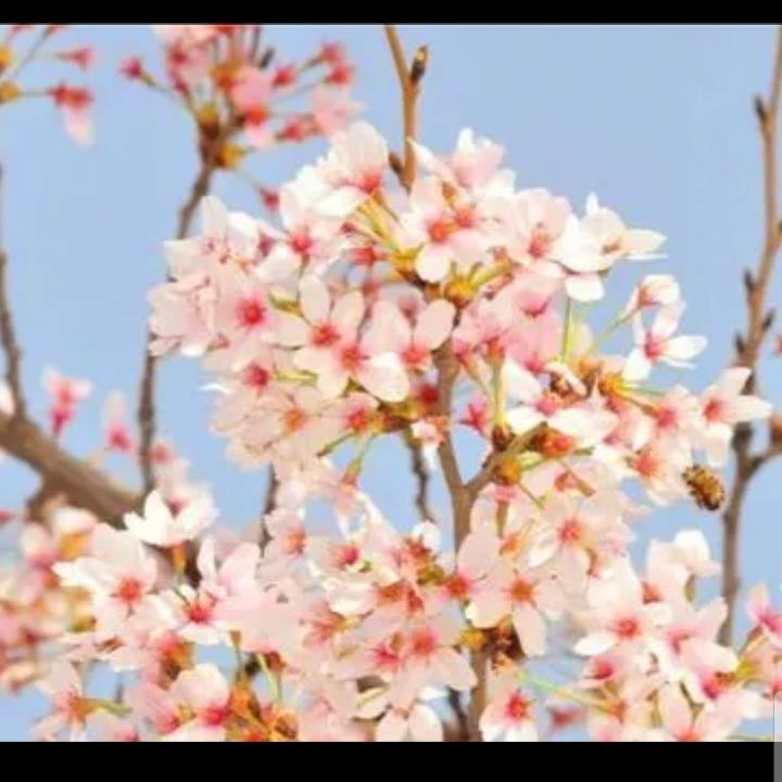 宝贝特帅