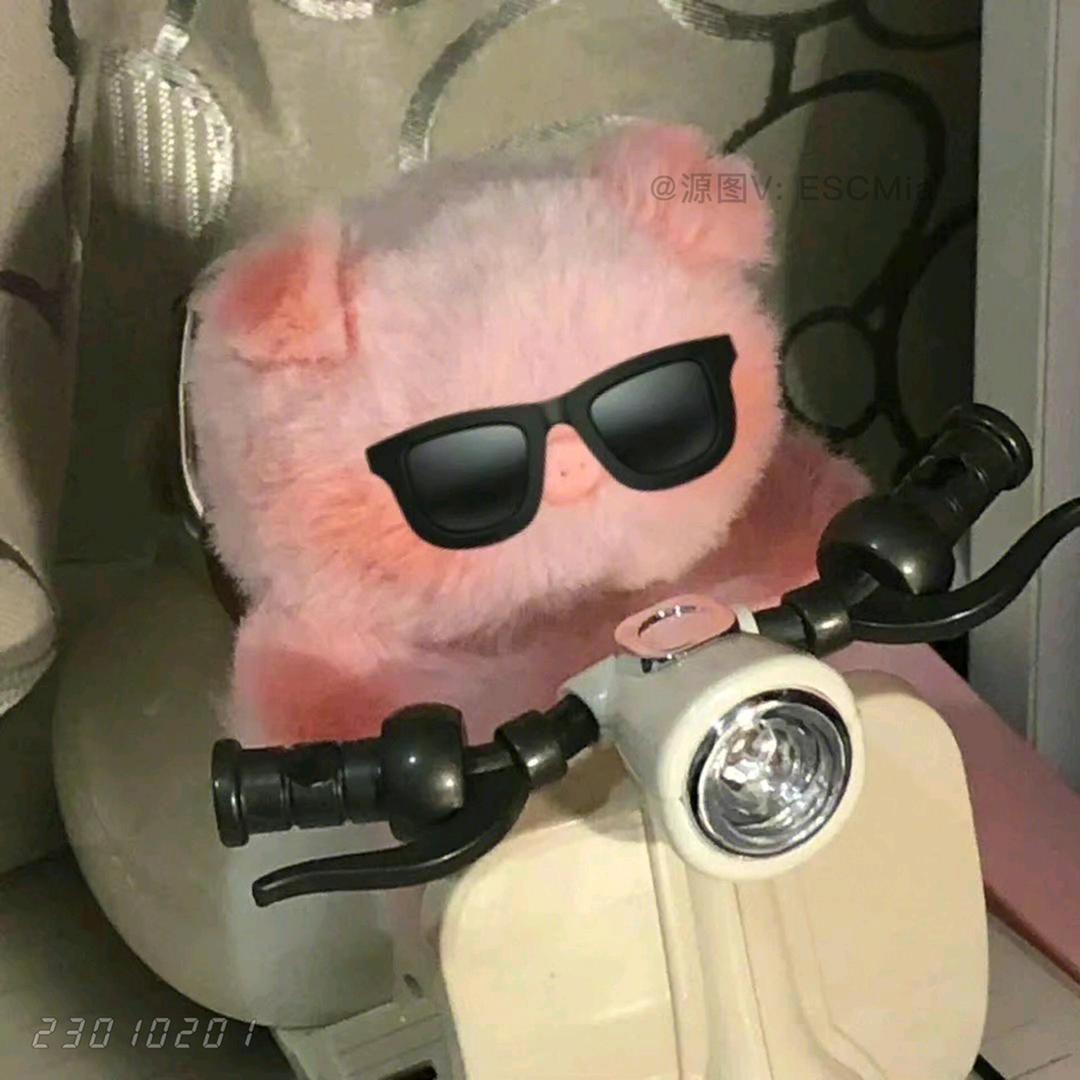 一汁猪