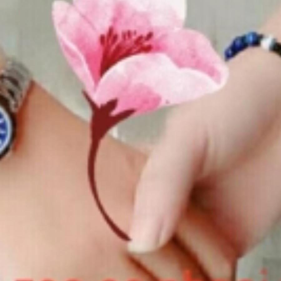 晚霞留不住太阳