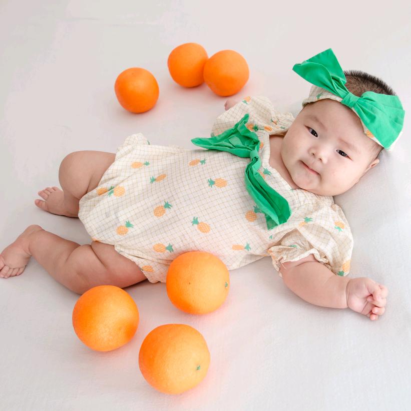 🎼🌺粉色蔷薇🌺