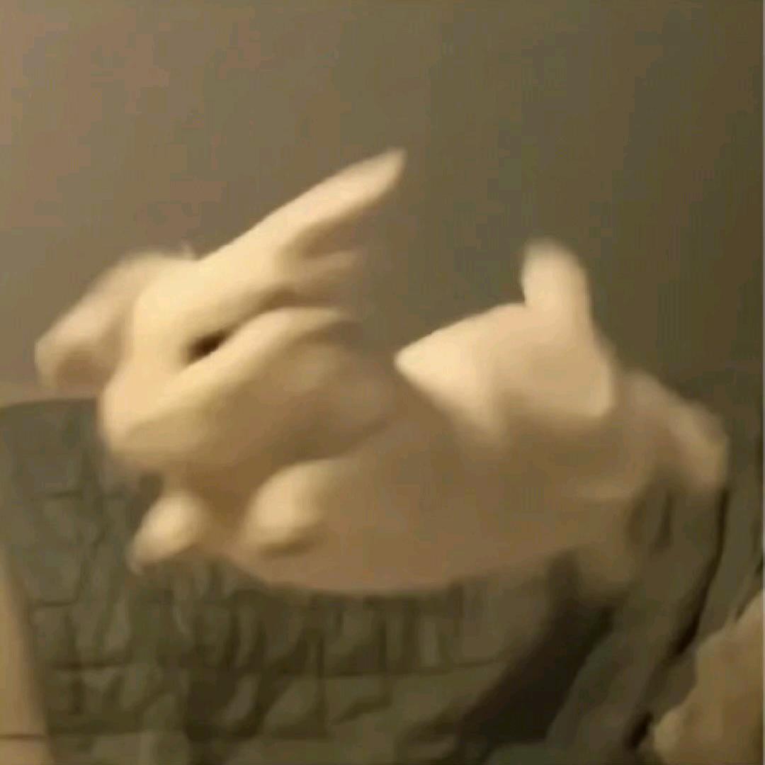 冷漠兔子