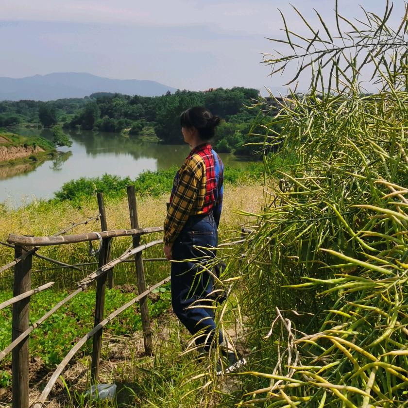 风听