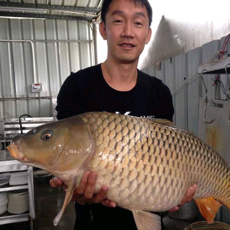 鱼塘脆鲩火锅农庄