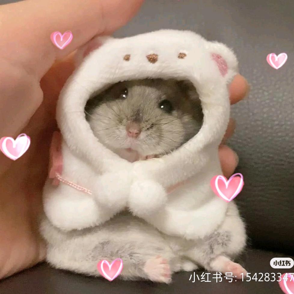 萌宠