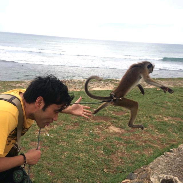 螃蟹哥（北）