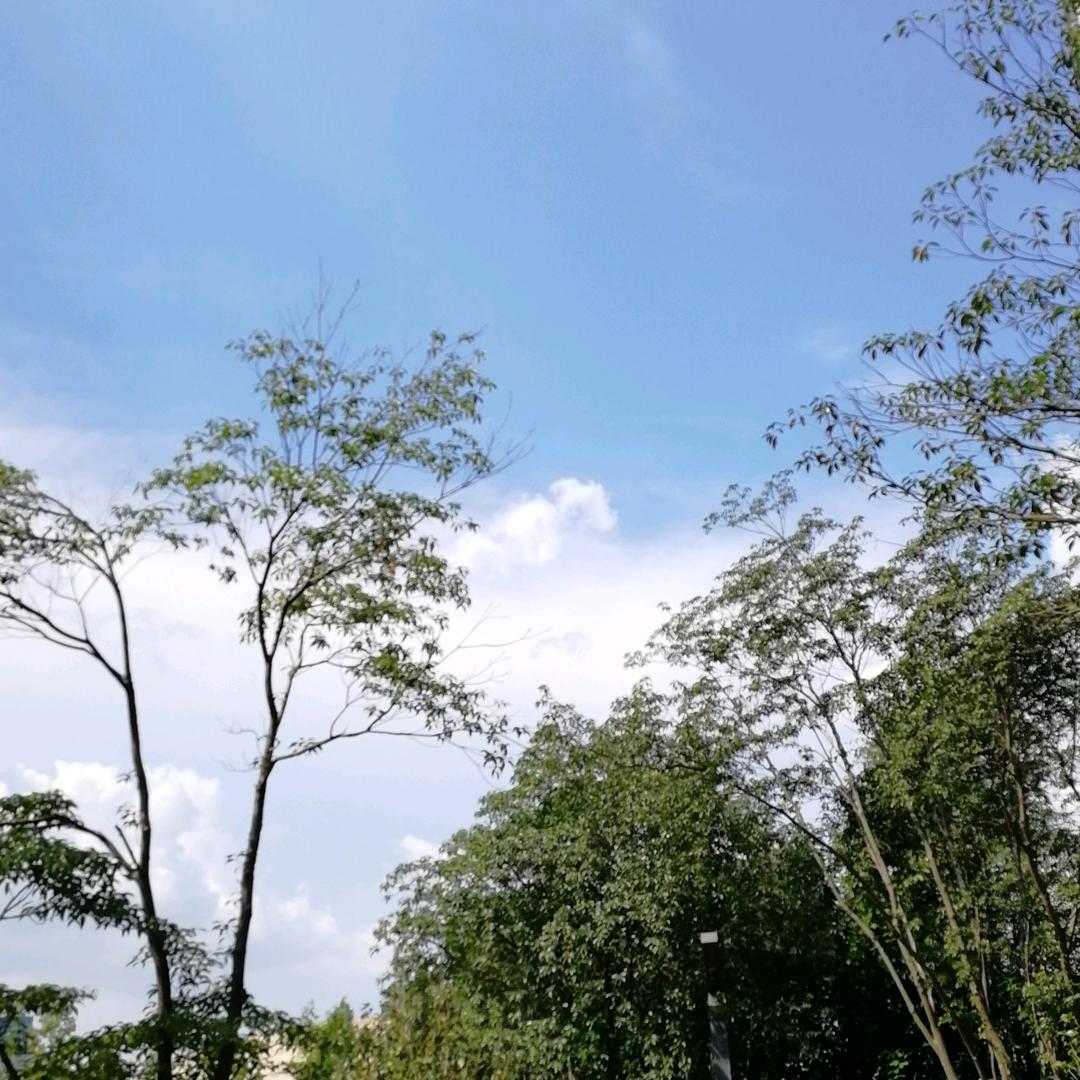 东方旭日