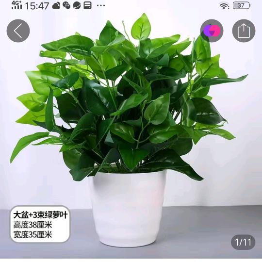 勇敢向前