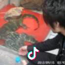 ☞Mr郭先生☜