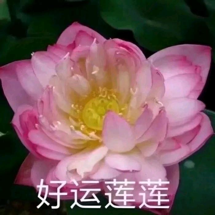 河南固始