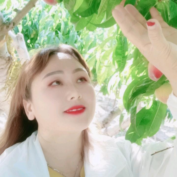 姐的温柔