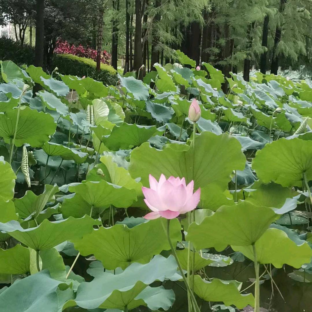 万世沉浮，你是人间归途。