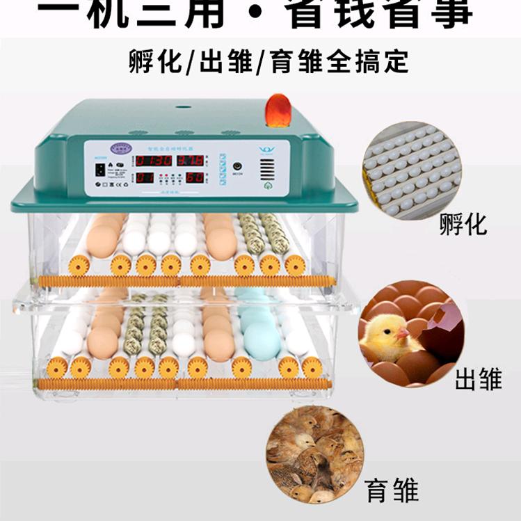 伟达孵化器设备工厂店