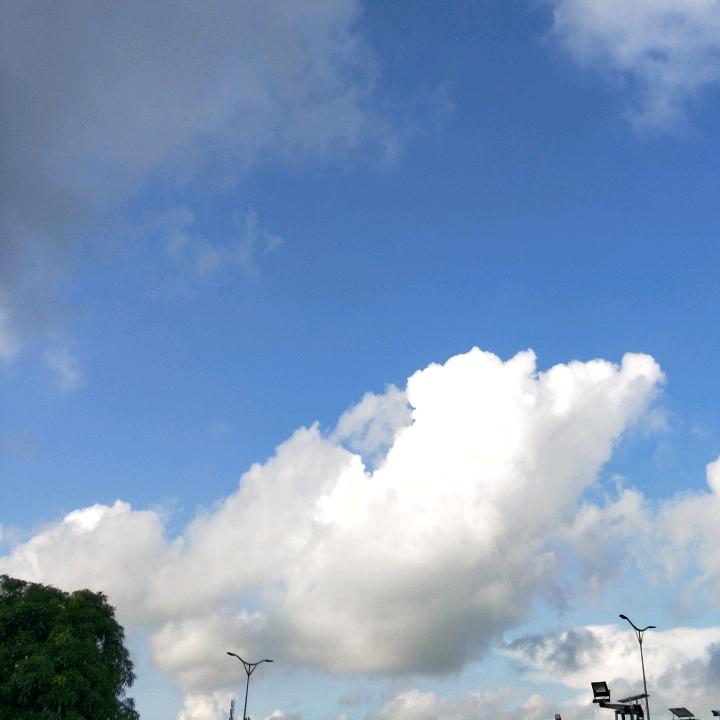 大哥大