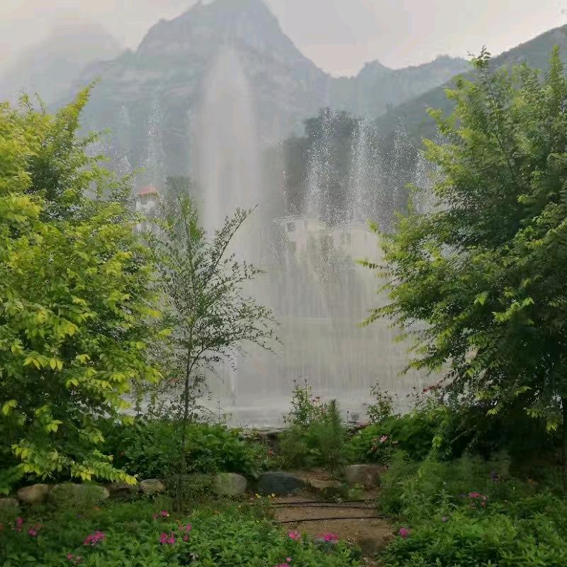随遇