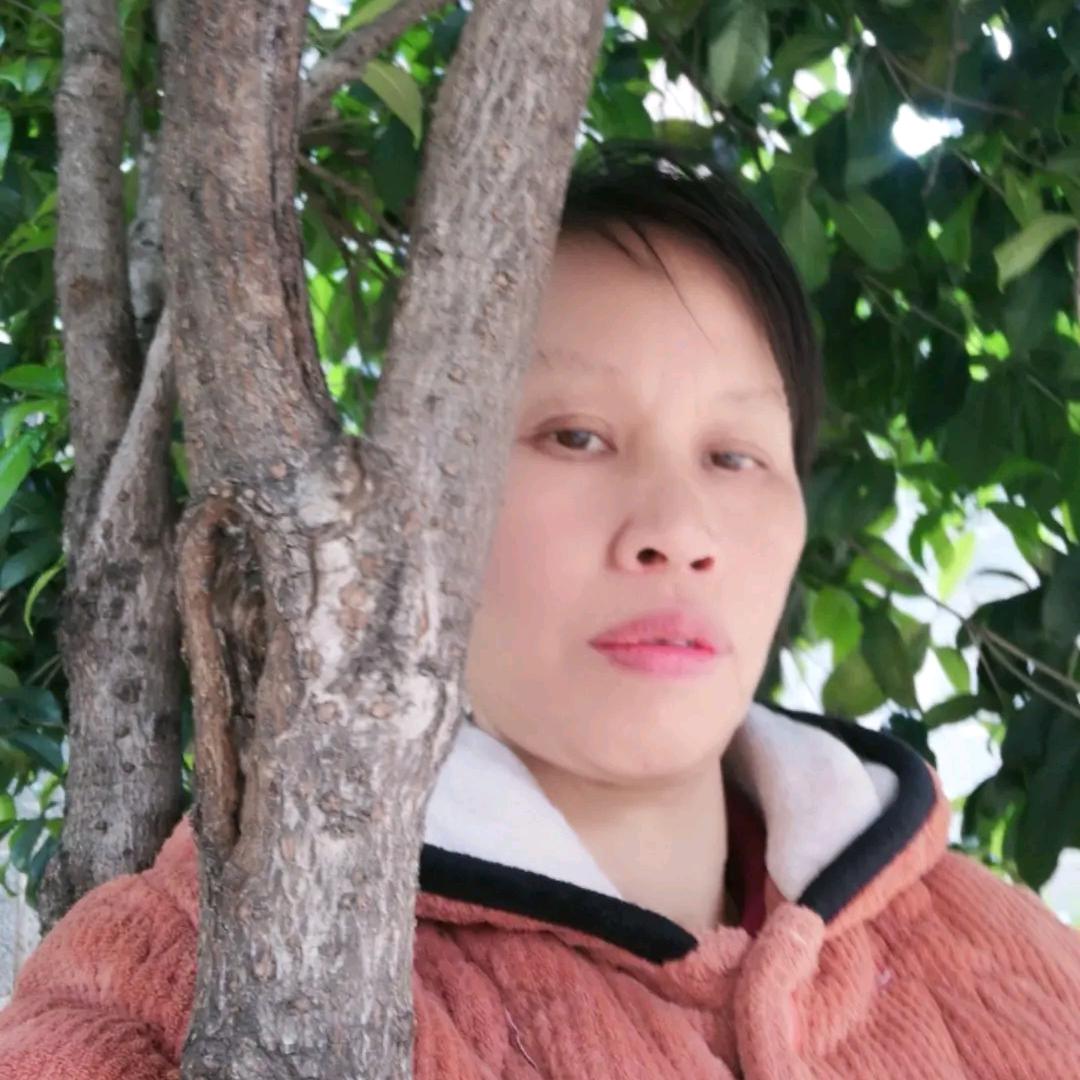 桃花遍天下，湖南祁阳