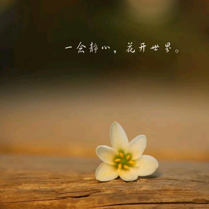方小利