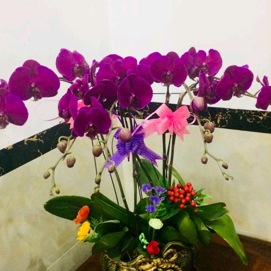 罗雯