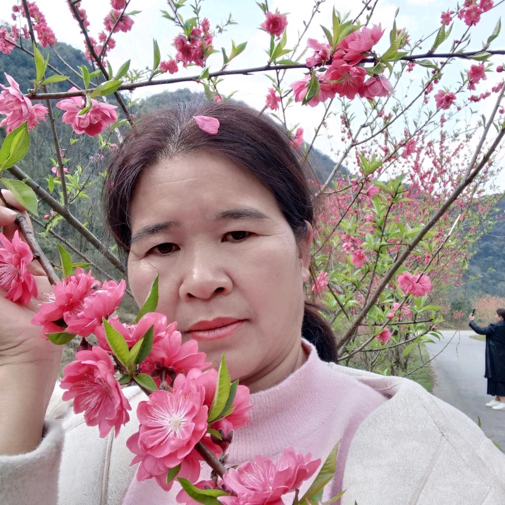 柳州鱼峰山歌集