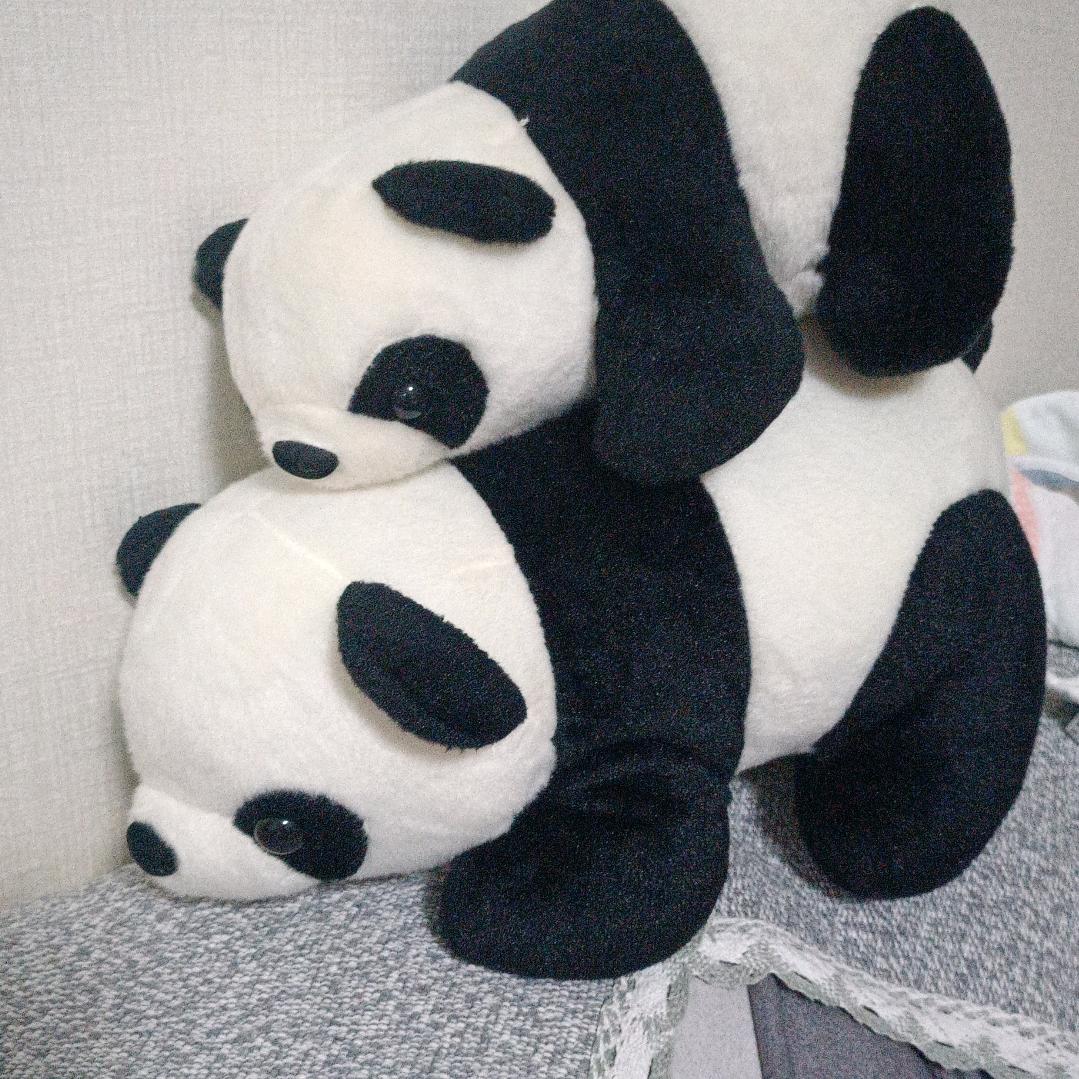 硕宝