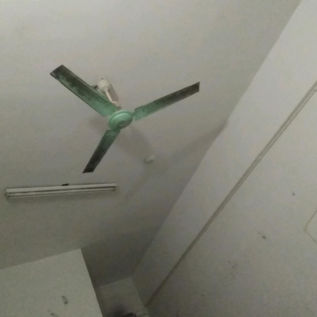 我疼心