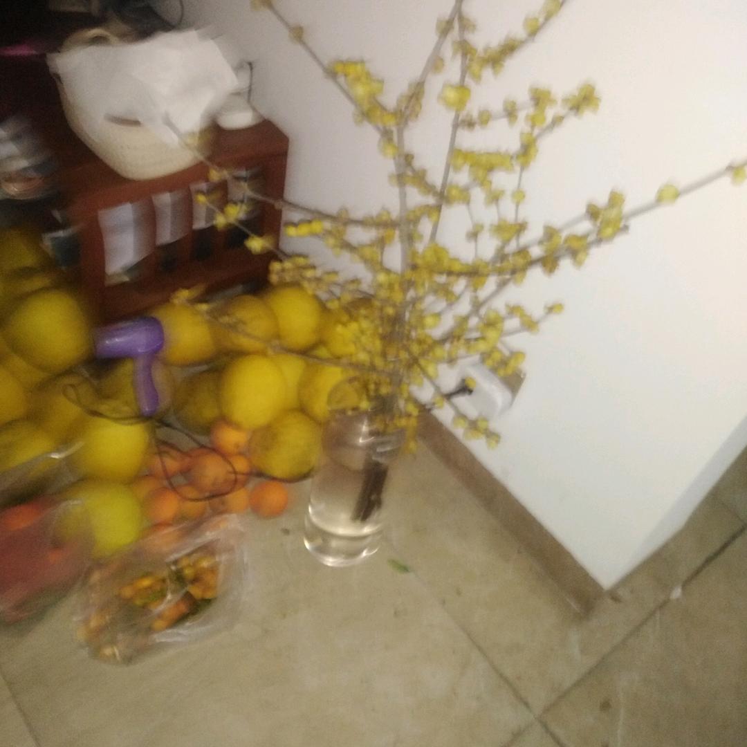 大会