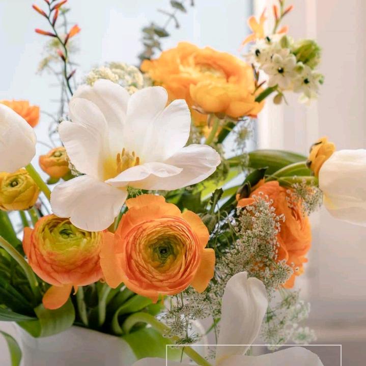 嘎嘎乐的生煎包