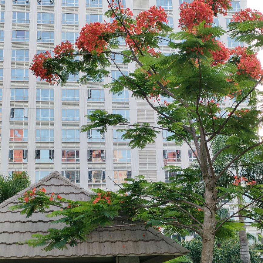 欧阳一飞